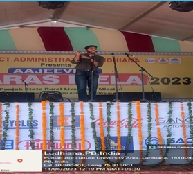 SARAS MELA